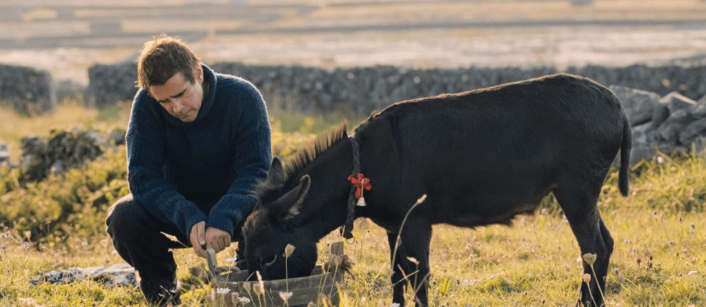 Are Donkeys The Most Misunderstood Animals? My Love for Jenny from Banshees of&nbsp;Inisherin